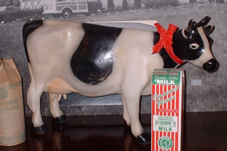 Cora the Cow