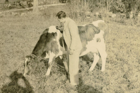 Meyer with Cora the Cow
